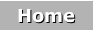 Home Button